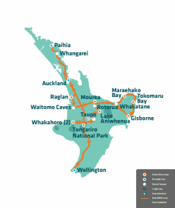 Waitomo Glowworm Caves